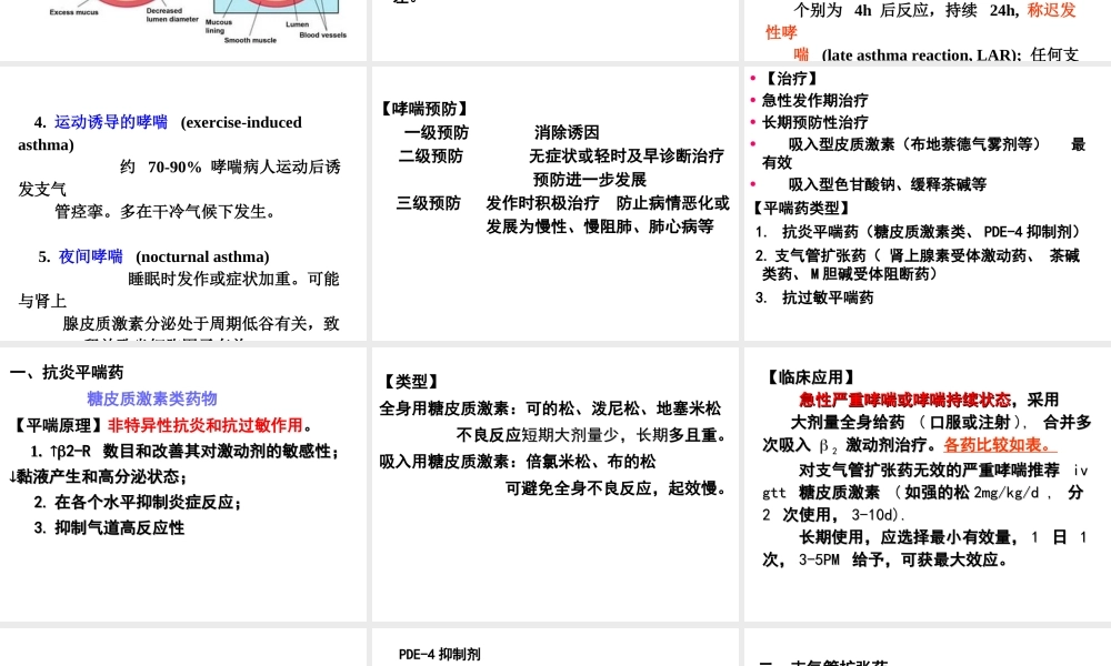 平喘药5-1(5).ppt