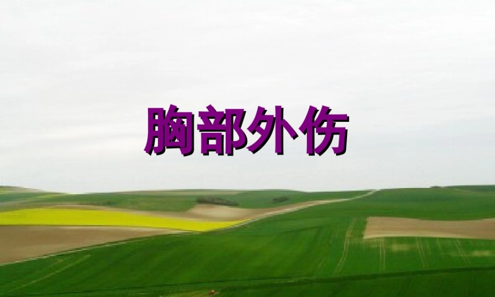 影像学-胸部外伤.ppt