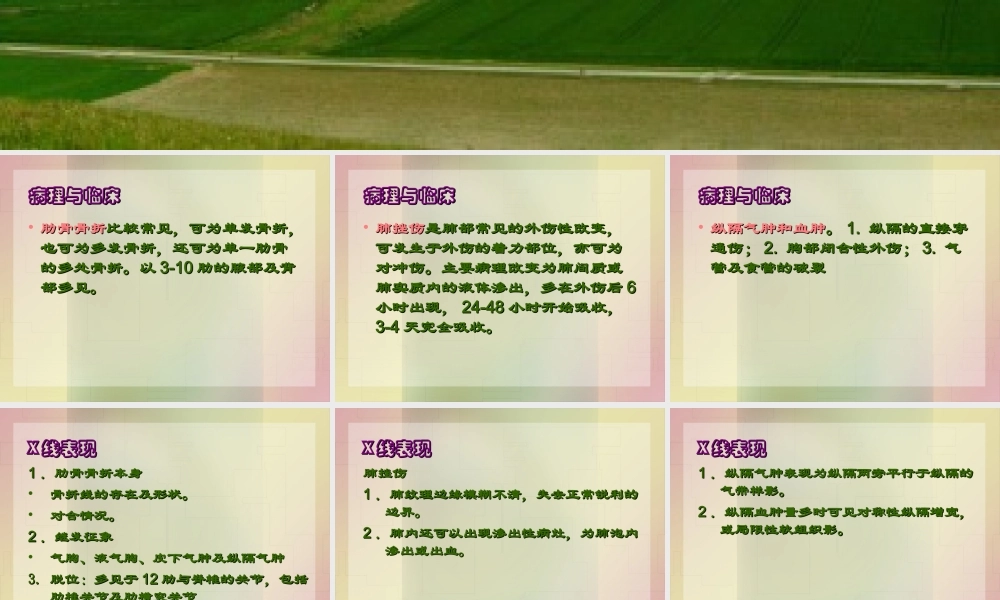 影像学-胸部外伤.ppt