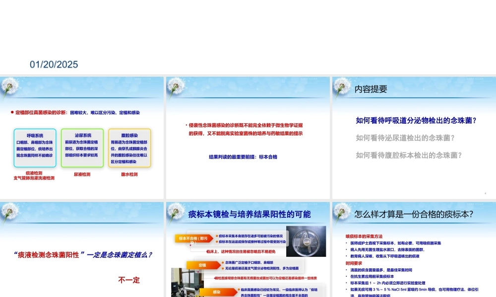 念珠菌定植与感染的关系.pptx