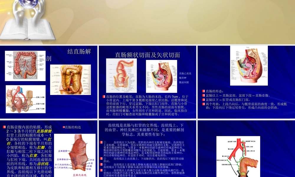 山大-结肠直肠癌.ppt
