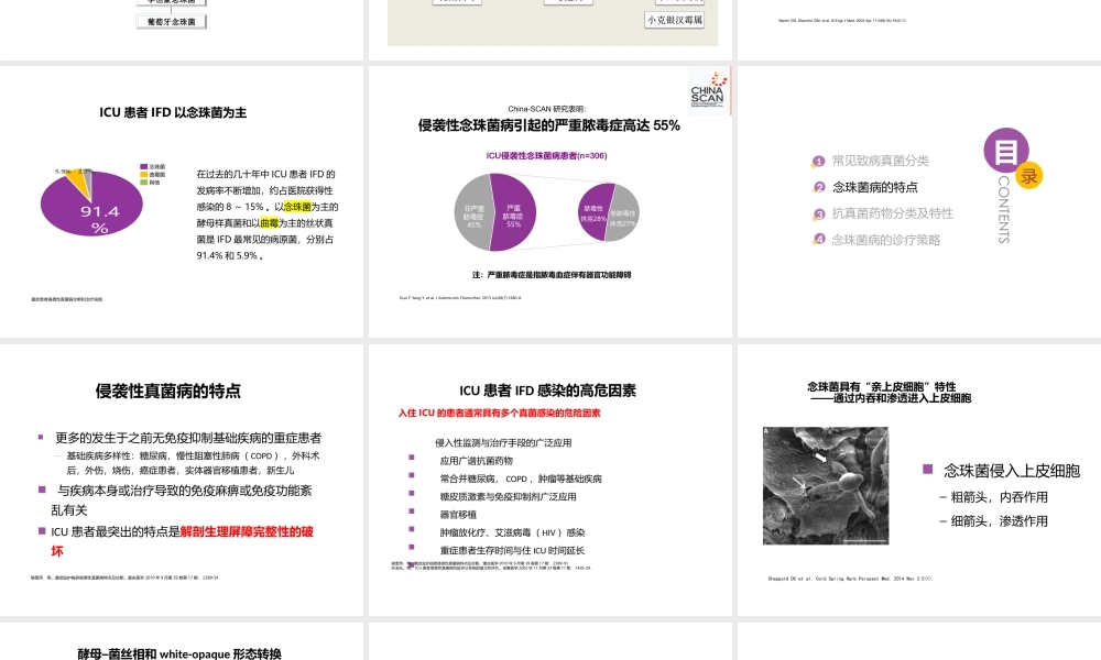 念珠菌病的诊疗.pptx