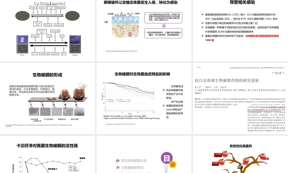 念珠菌病的诊疗.pptx