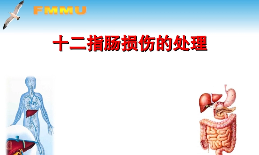 十二指肠损伤处理.ppt