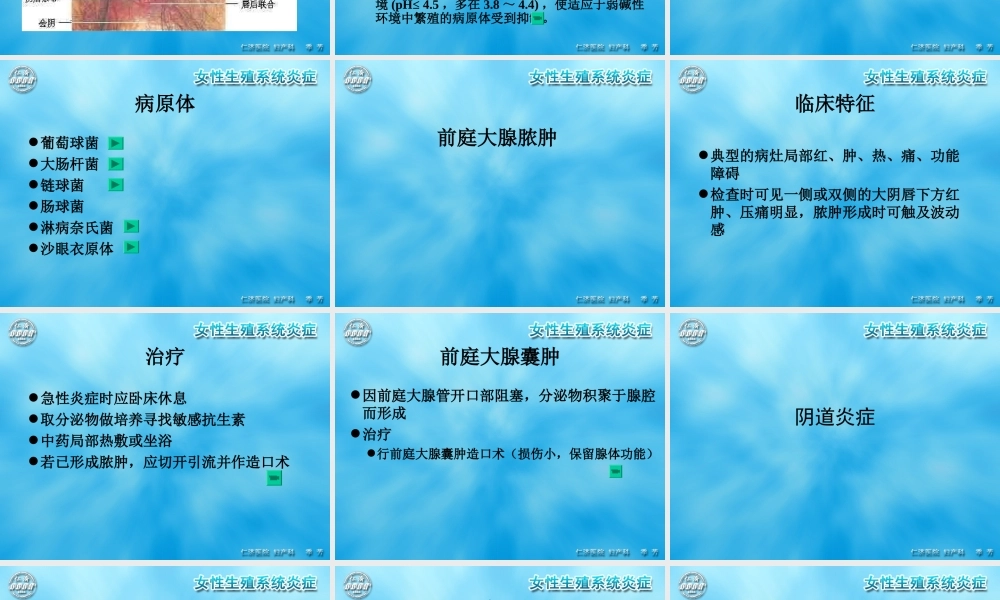 女性生殖系统炎症.ppt