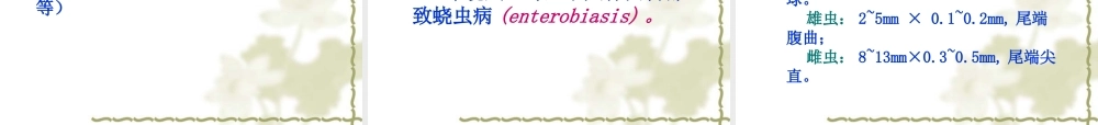 医本一蛔虫钩虫鞭虫蛲虫.ppt