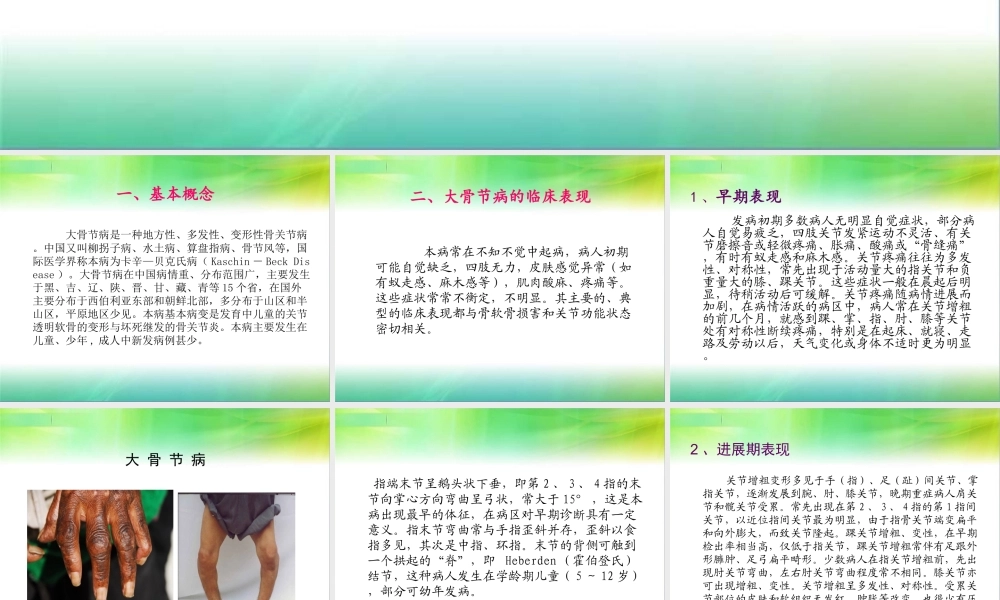 大骨节病基本知识.ppt