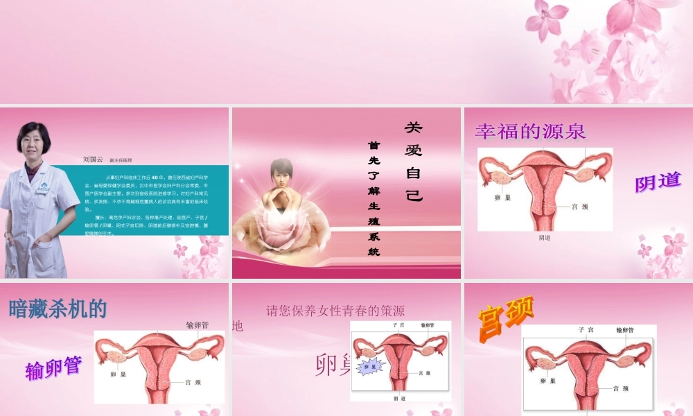 女性健康知识讲座-.ppt