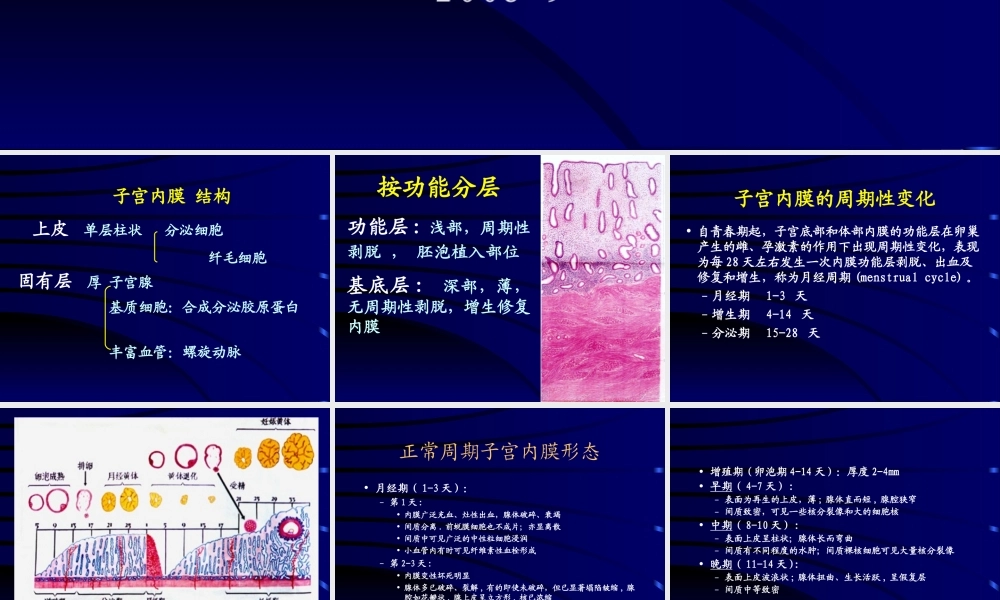 子宫内膜增生.ppt