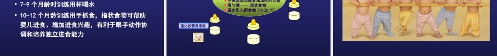 婴儿营养与免疫.ppt