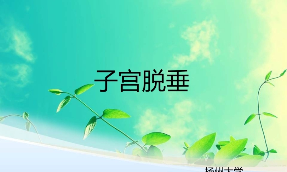 子宫脱垂.pptztt.ppt