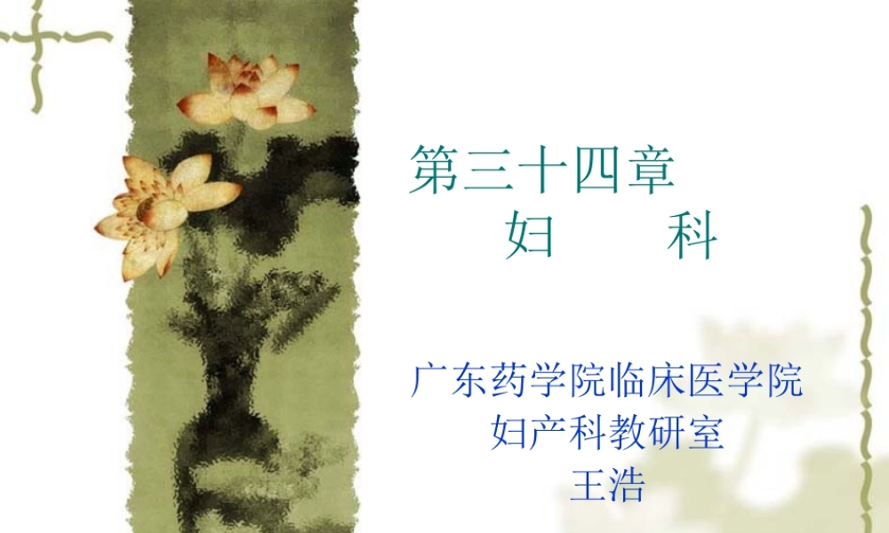 宫颈癌-PPT模板.ppt