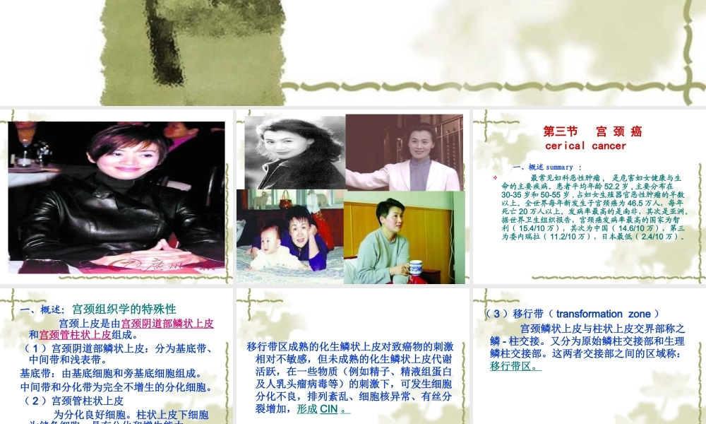 宫颈癌-PPT模板.ppt