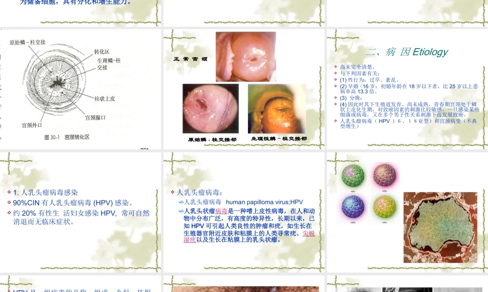 宫颈癌-PPT模板.ppt