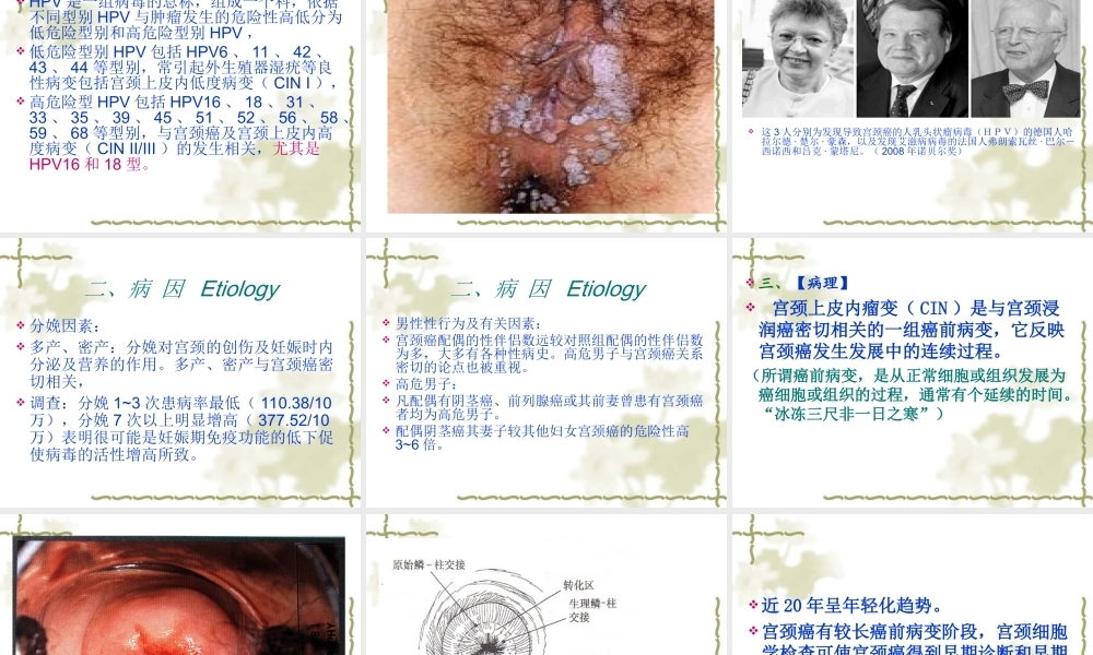 宫颈癌-PPT模板.ppt