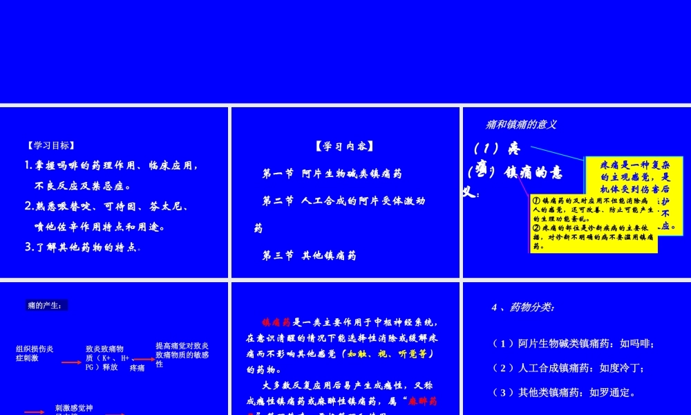 十五章-镇痛药.ppt