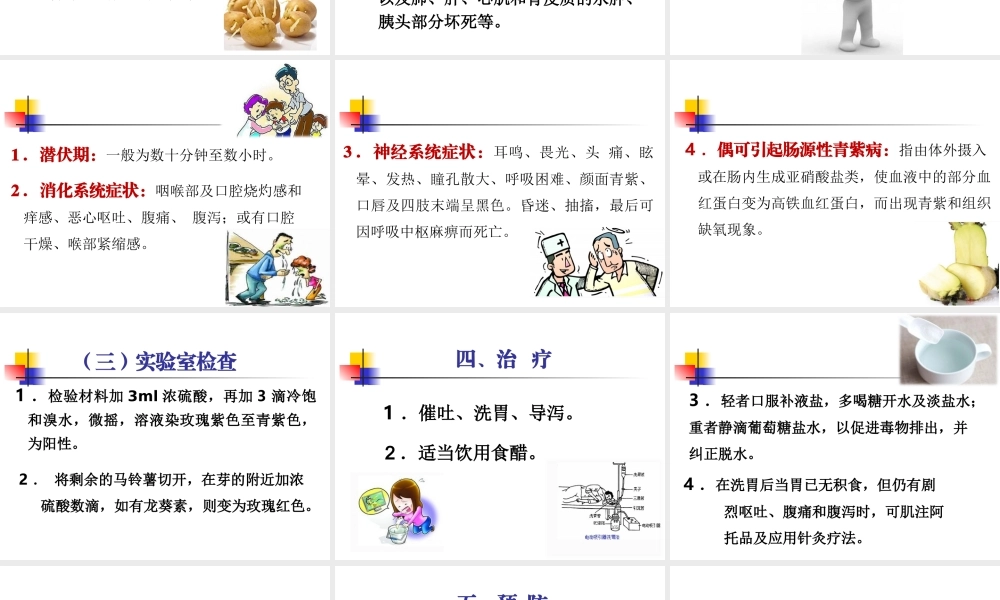 发芽马铃薯中毒(新).ppt