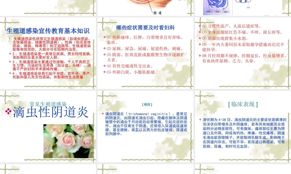 妇女健康知识讲座..ppt