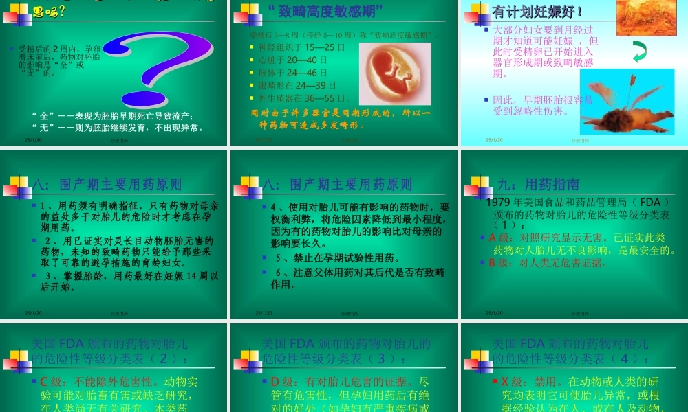 孕产期合理用药--执业药师.ppt
