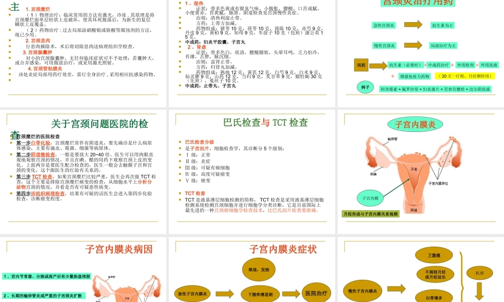 宫颈炎、副本炎、盆腔炎.ppt