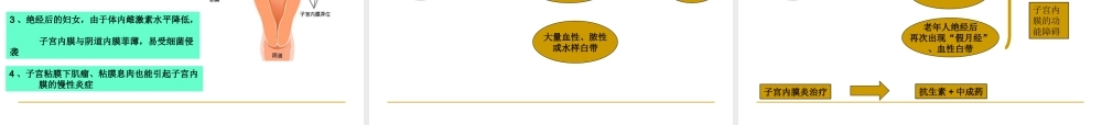 宫颈炎、副本炎、盆腔炎.ppt