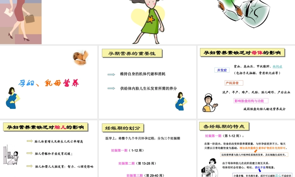 孕妇乳母营养辩析.ppt