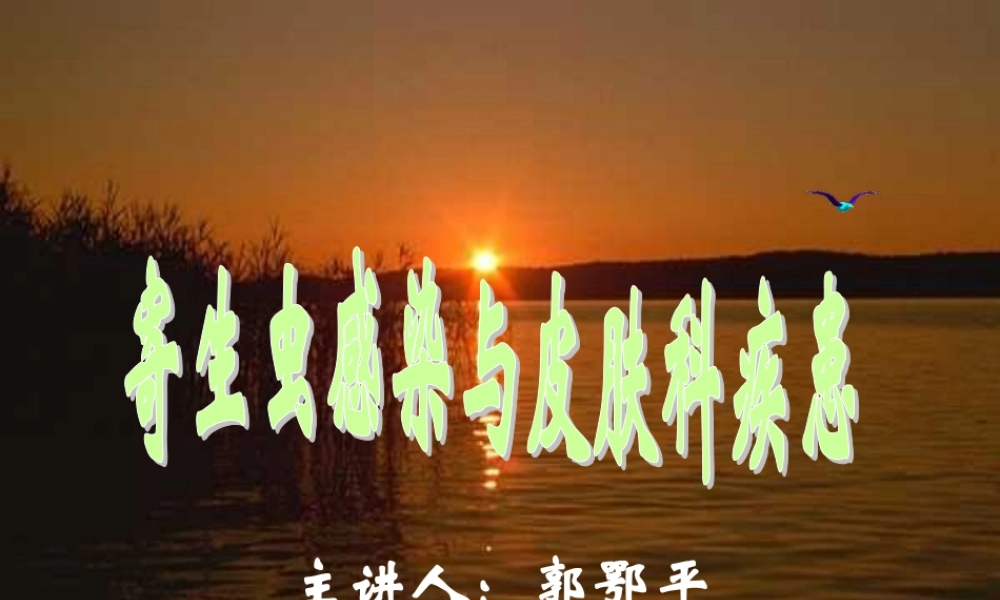 寄生虫感染与皮肤科疾患.ppt