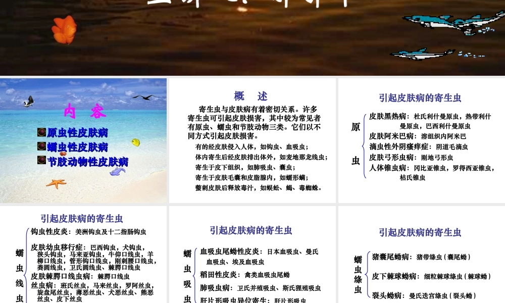 寄生虫感染与皮肤科疾患.ppt