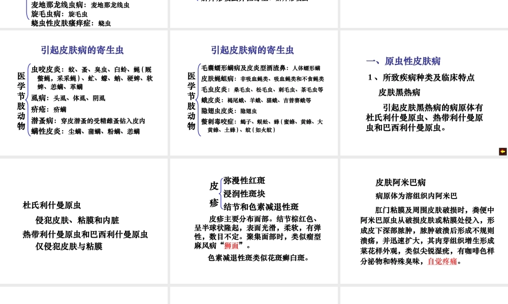 寄生虫感染与皮肤科疾患.ppt