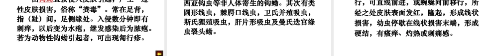 寄生虫感染与皮肤科疾患.ppt