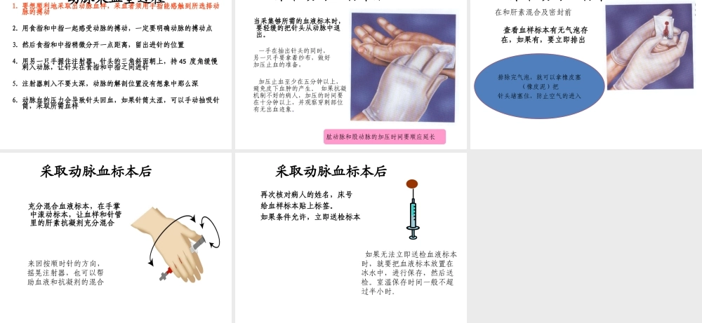 如何抽取动脉血..ppt