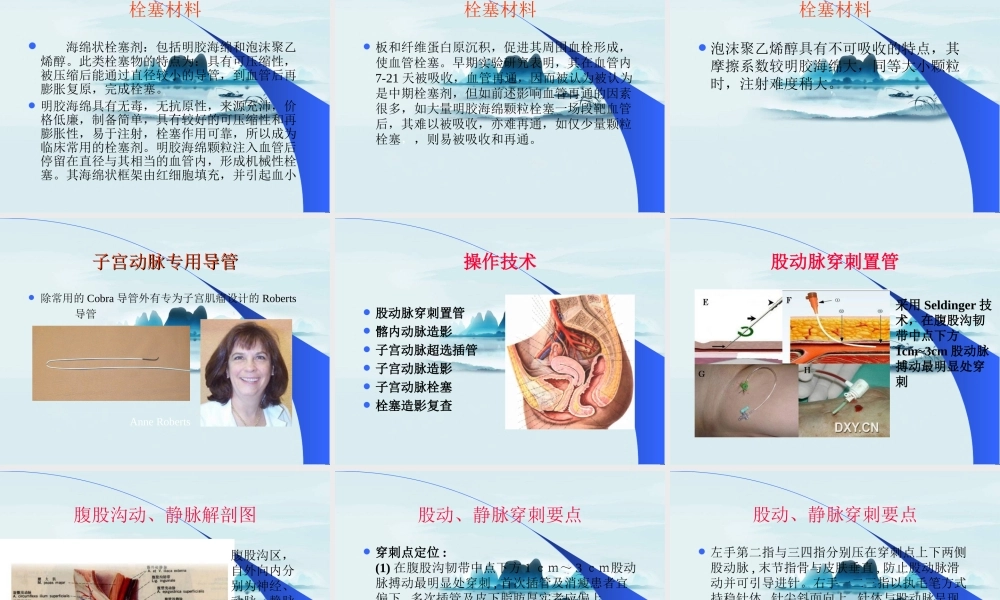 子宫动脉栓塞概述.ppt