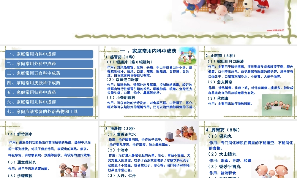 家庭常用中成药.ppt