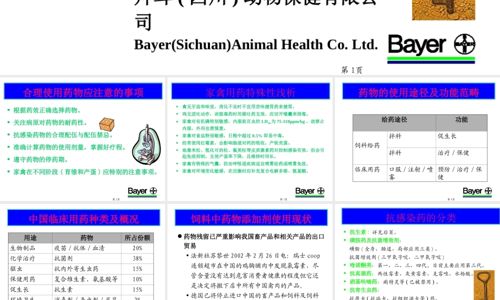 家禽合理用药.ppt