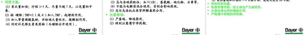 家禽合理用药.ppt