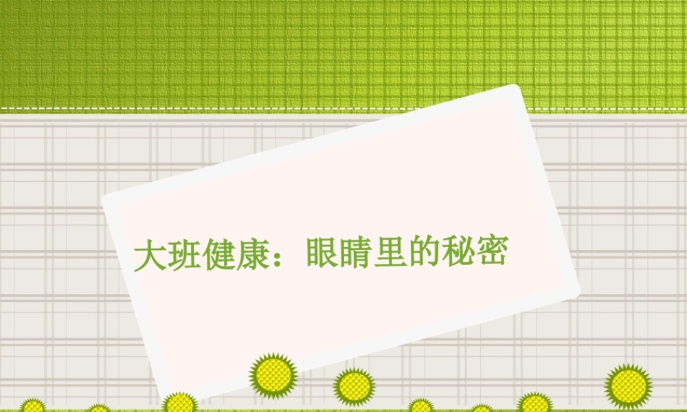 大班健康眼睛的秘密.ppt
