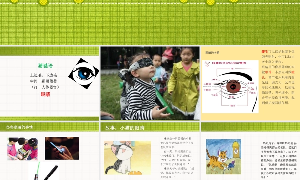 大班健康眼睛的秘密.ppt