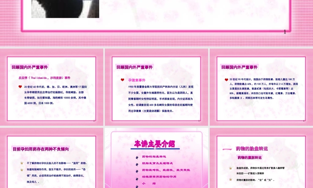 妊娠期合理用药.ppt