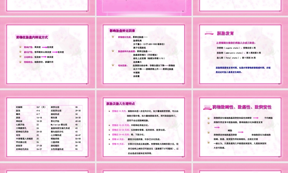 妊娠期合理用药.ppt