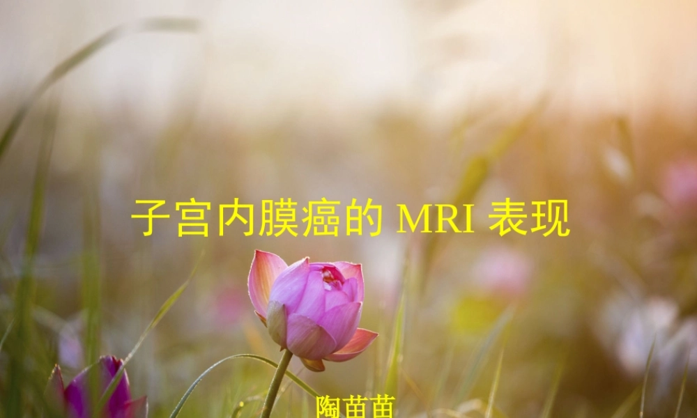 子宫内膜癌MRI影像表现.ppt