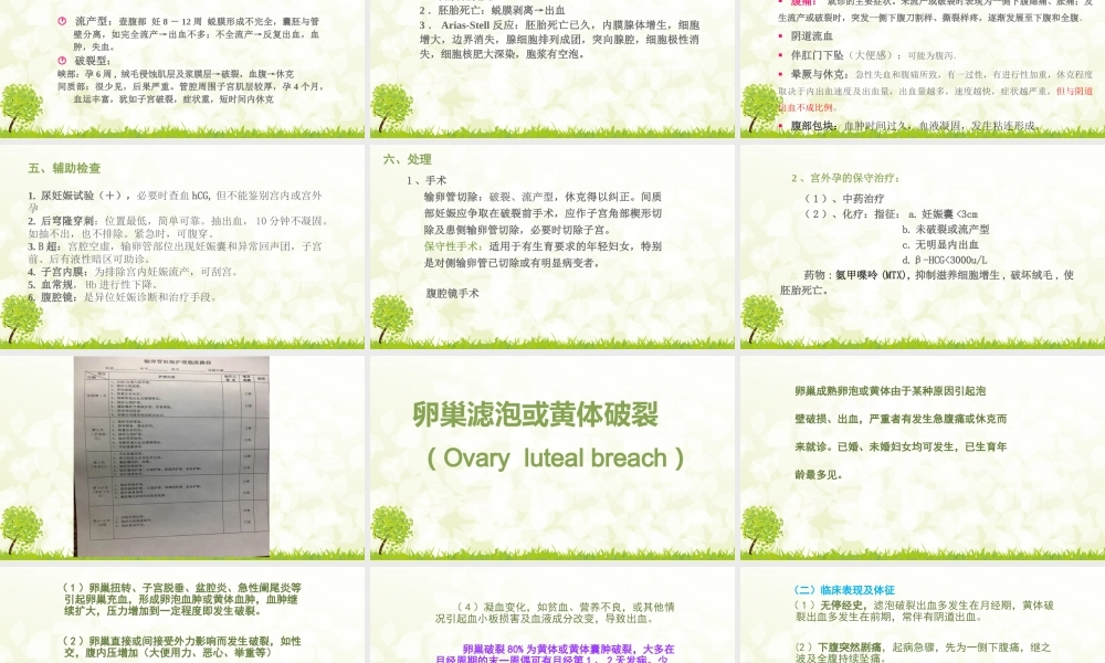 妇科常见急腹症.pptx