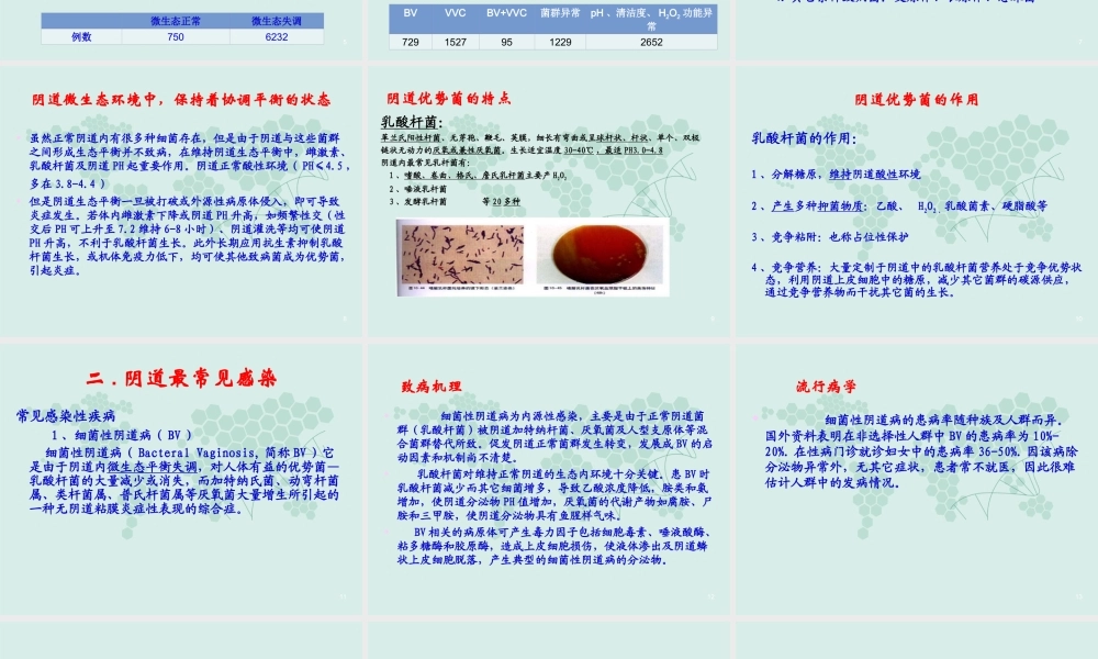 妇科五联检技术.ppt