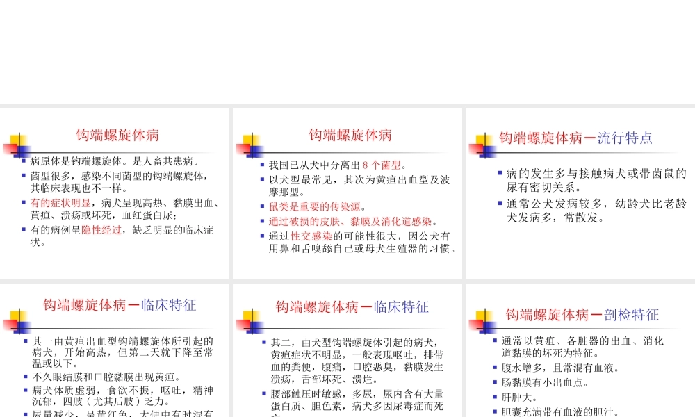 宠物细菌性传染病.ppt