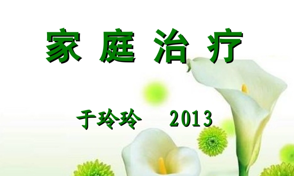 家-庭-治-疗2013剖析.ppt
