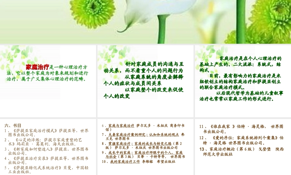 家-庭-治-疗2013剖析.ppt