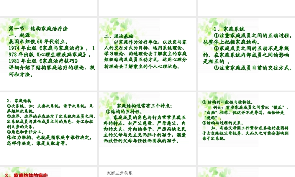 家-庭-治-疗2013剖析.ppt