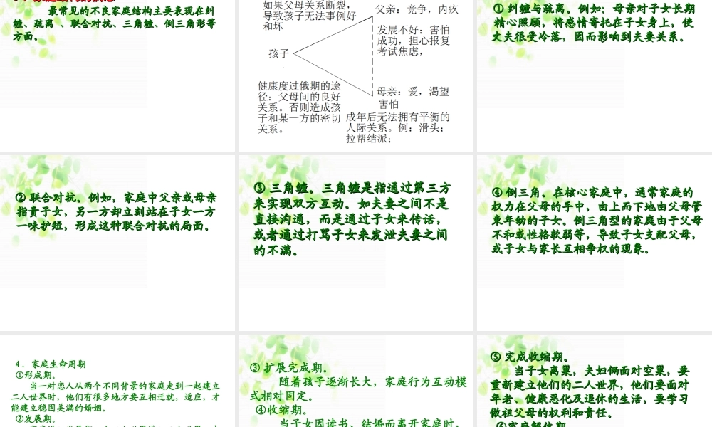 家-庭-治-疗2013剖析.ppt