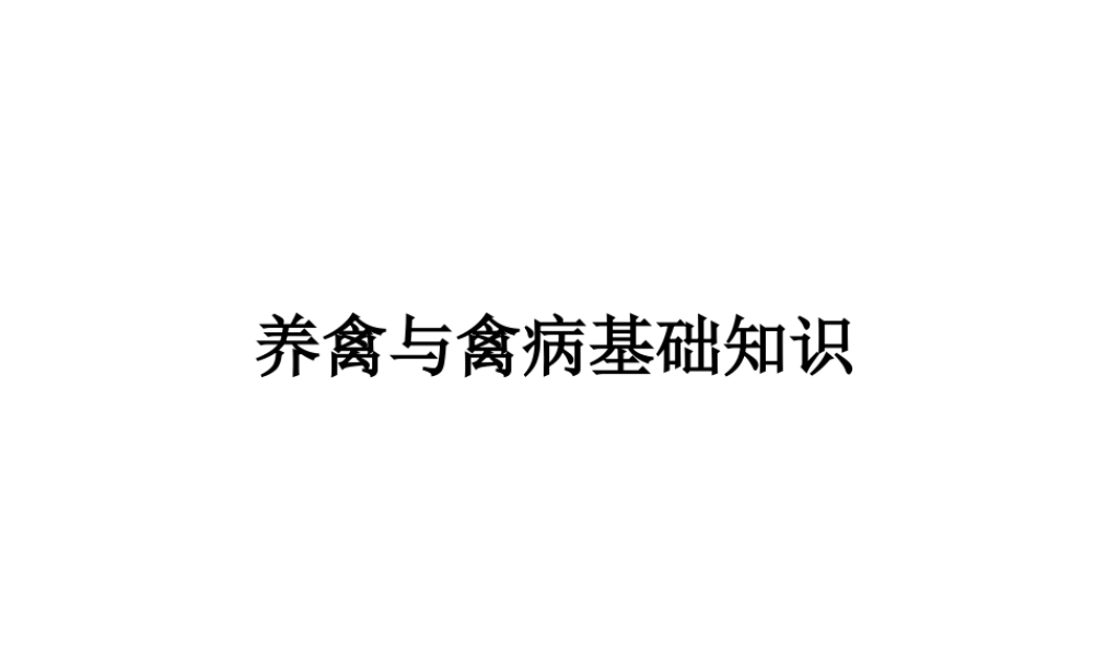 养禽与禽病基础知.ppt