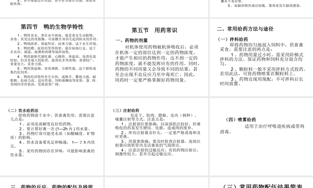 养禽与禽病基础知.ppt