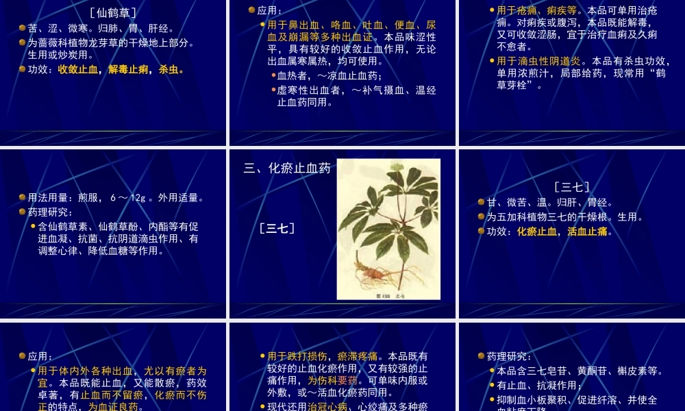 凉血止血药.ppt
